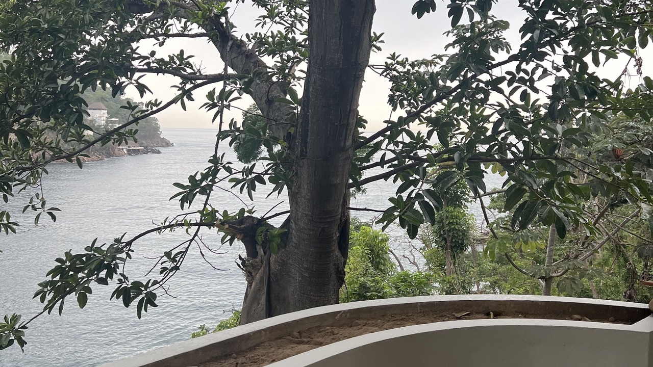Photo of Outdoor in Boca de Tomatlan