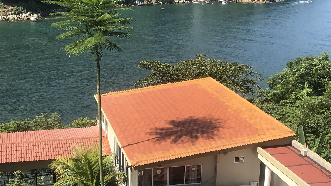 Photo of Outdoor in Boca de Tomatlan