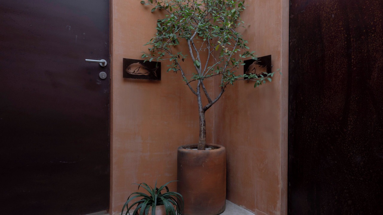 Photo of Outdoor in Merida