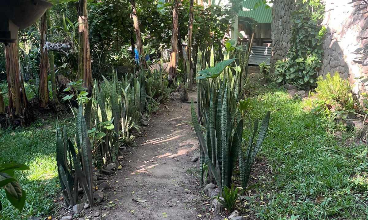 Photo of Outdoor in Pasajcap