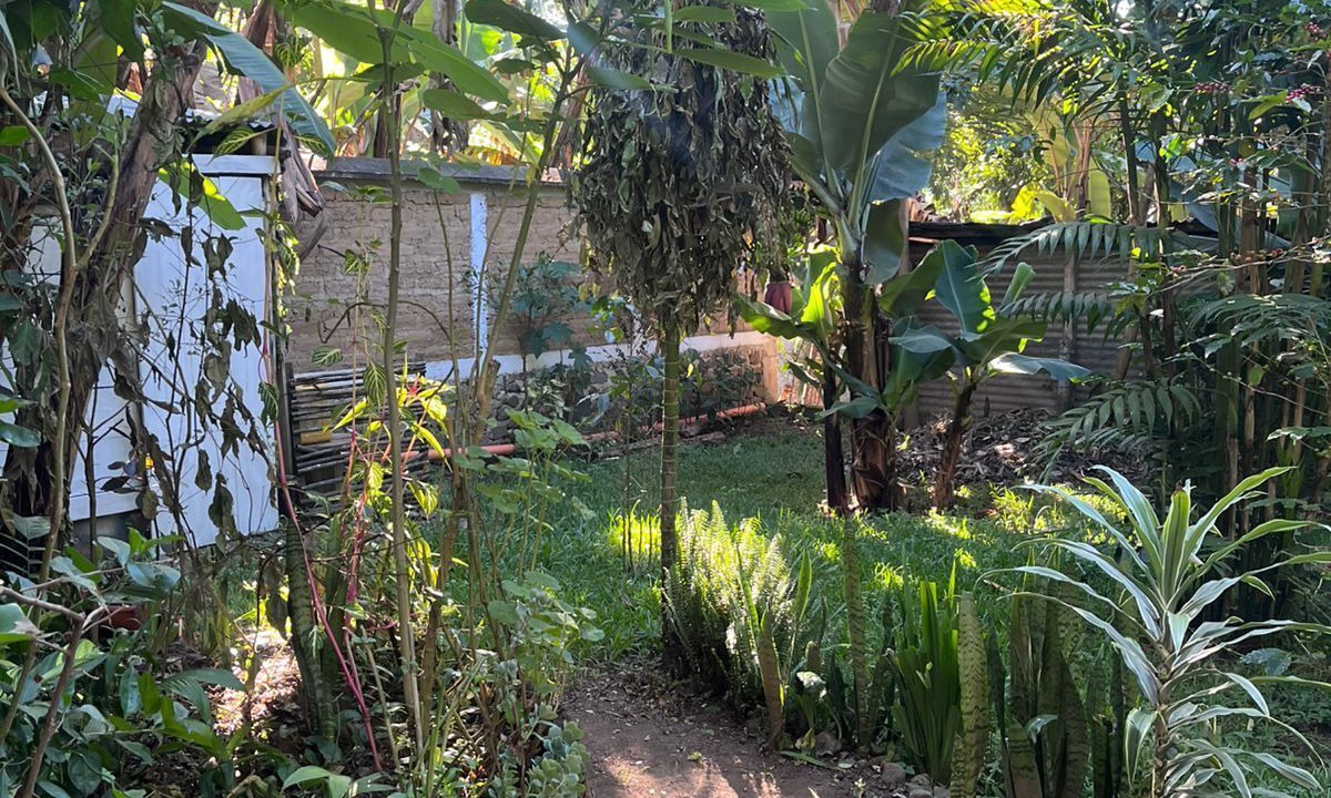 Photo of Outdoor in Pasajcap