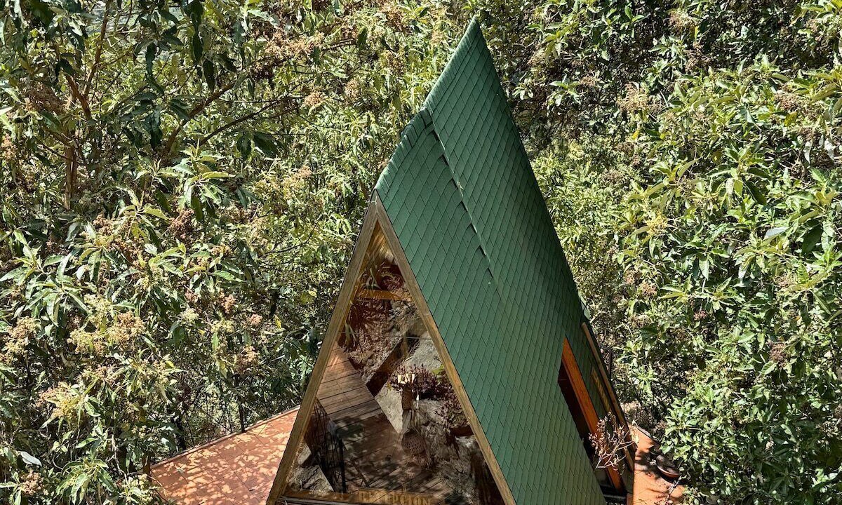 Photo of Outdoor in San Jose del Pacifico
