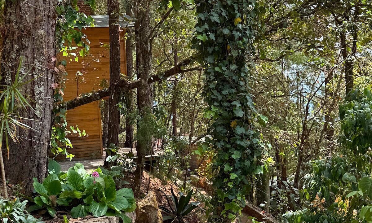 Photo of Outdoor in San Jose del Pacifico
