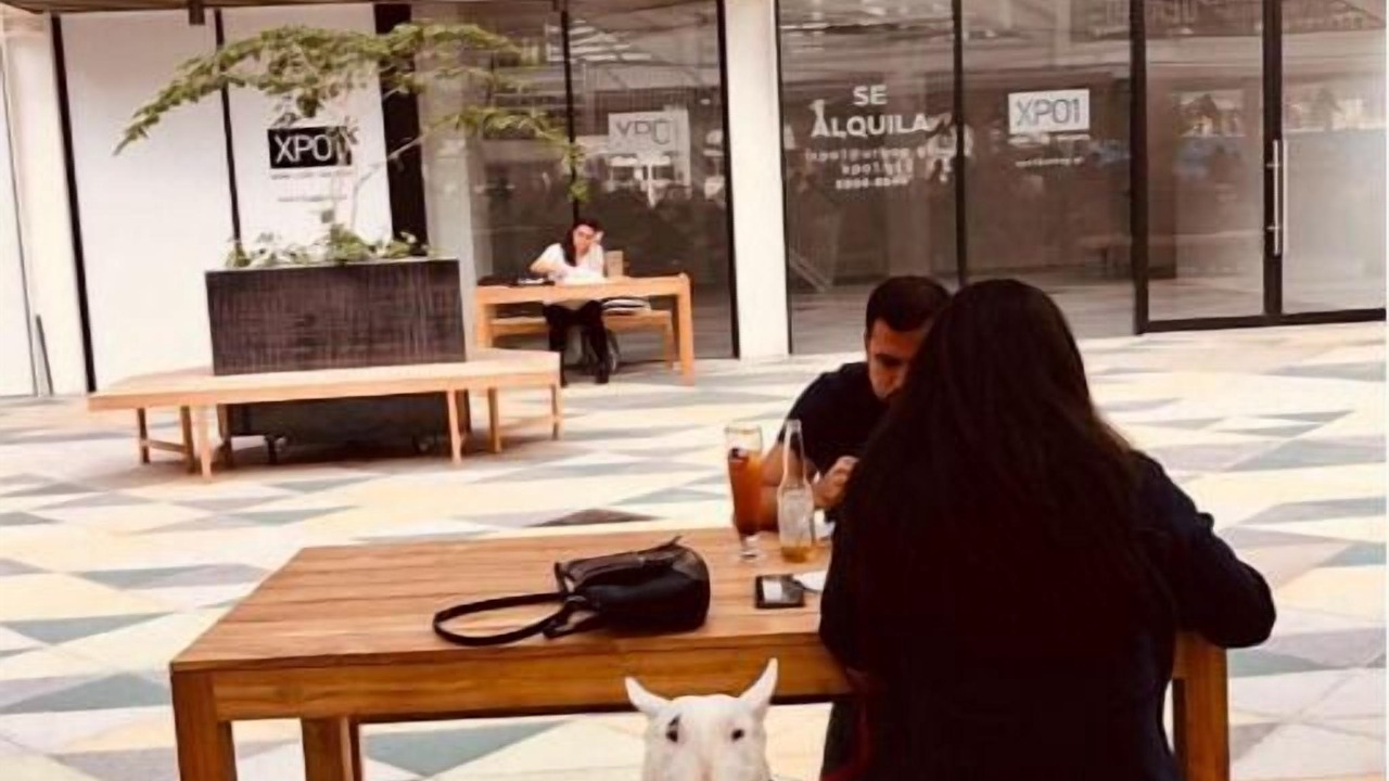 Photo of Outdoor in Zona 4
