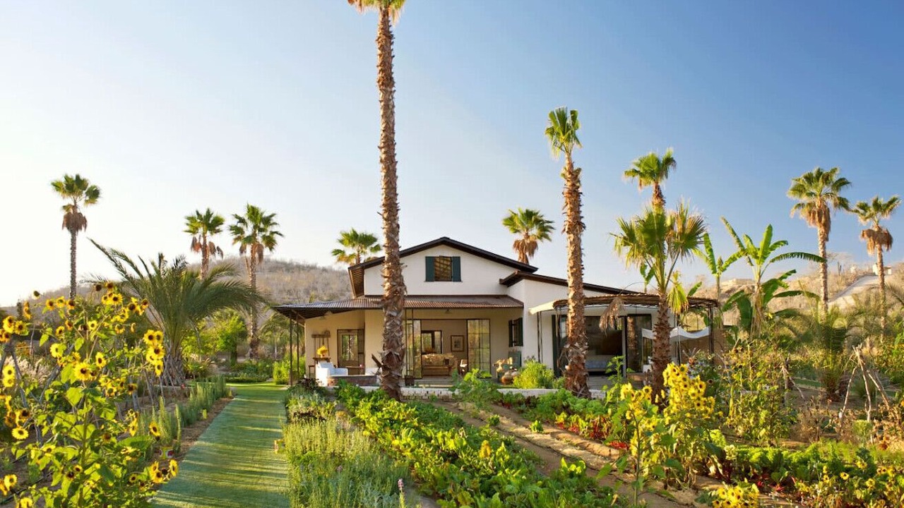 Photo of Outdoor in San Jose del Cabo
