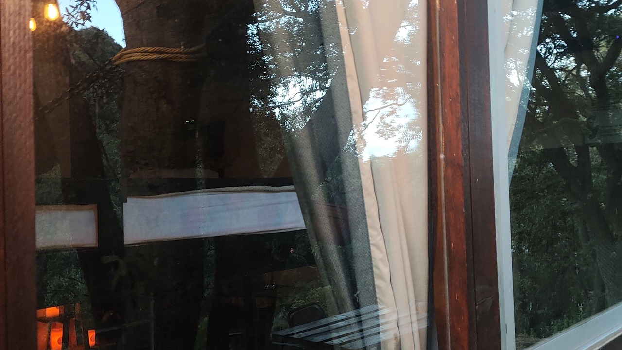 Photo of Outdoor in Alvaro Obregon