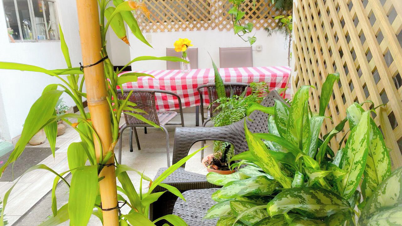 Photo of Patio Balcony in Zona 12