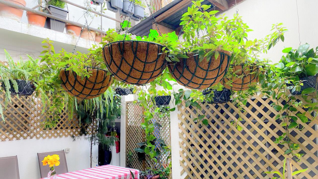 Photo of Outdoor in Zona 12