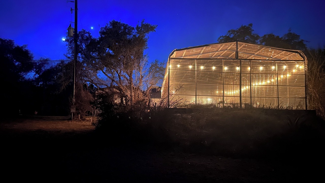 Photo of Outdoor in Austin