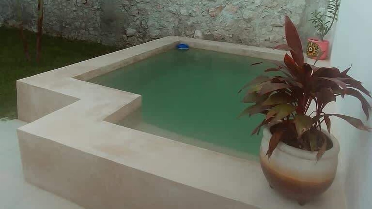 Photo of Others in Chuburna Puerto