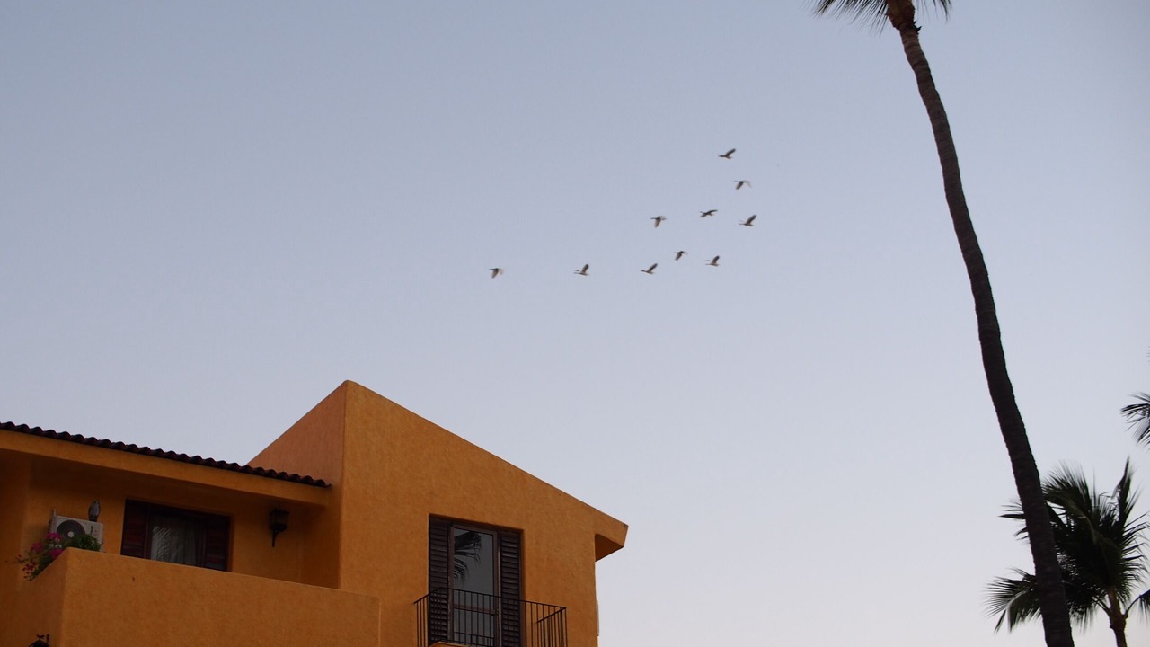 Photo of Outdoor in Manzanillo
