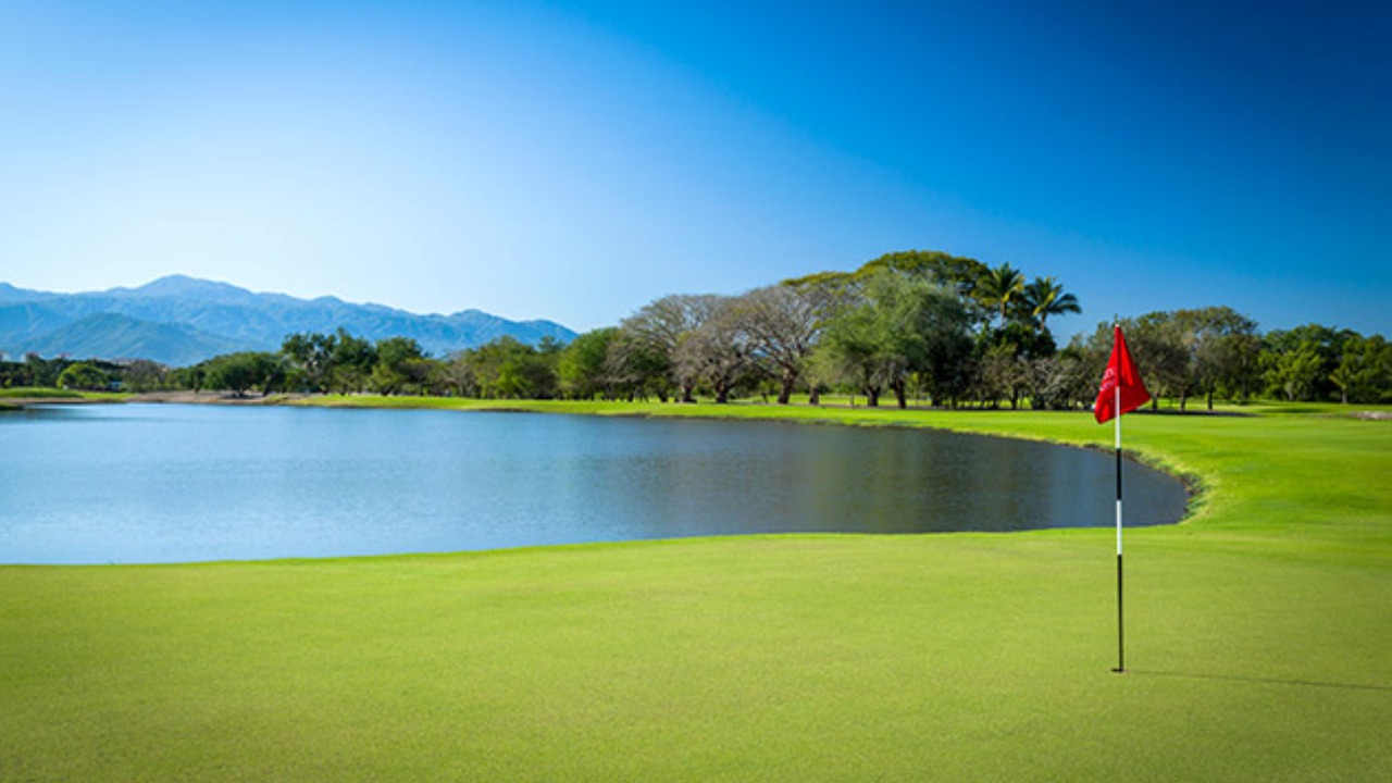 Photo of Others in Nuevo Vallarta