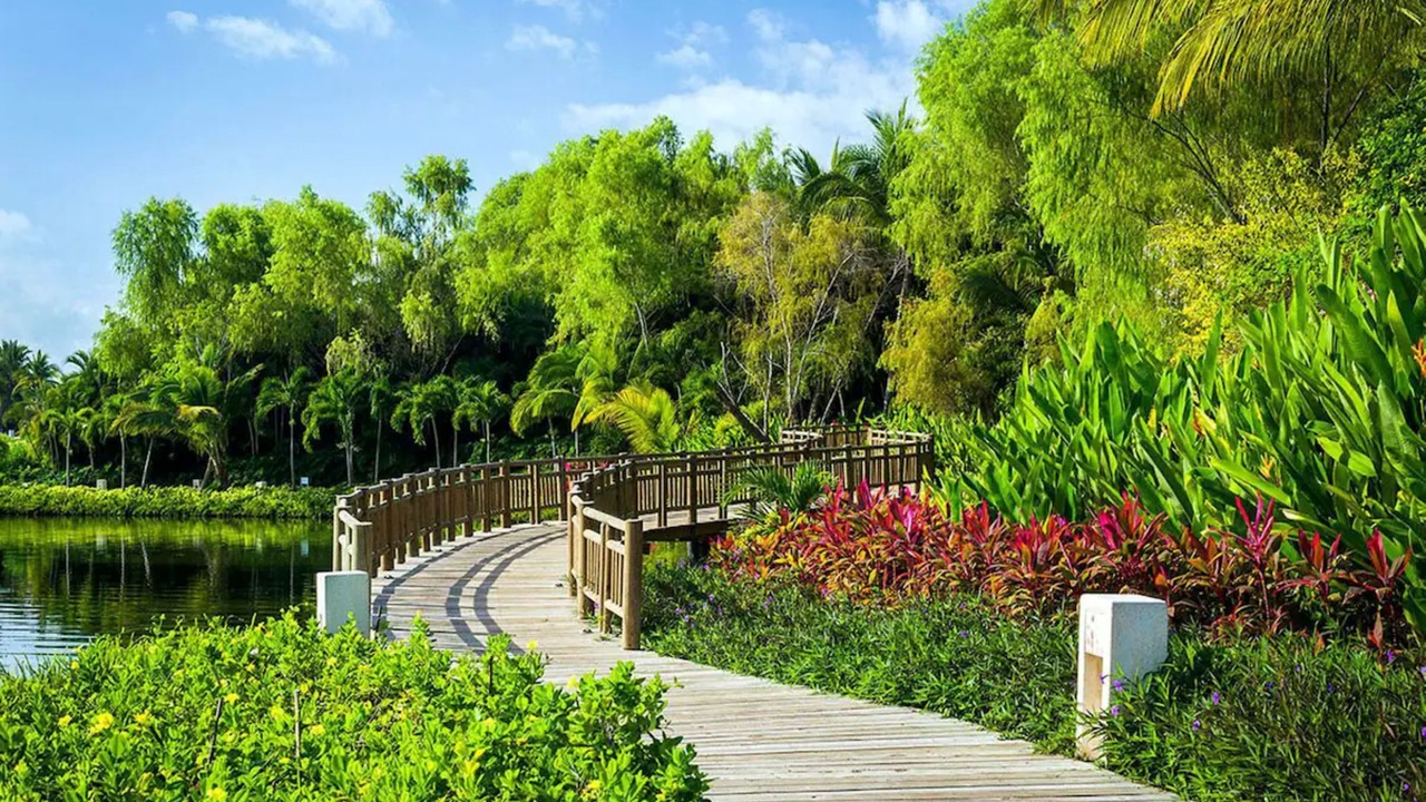 Photo of Outdoor in Nuevo Vallarta