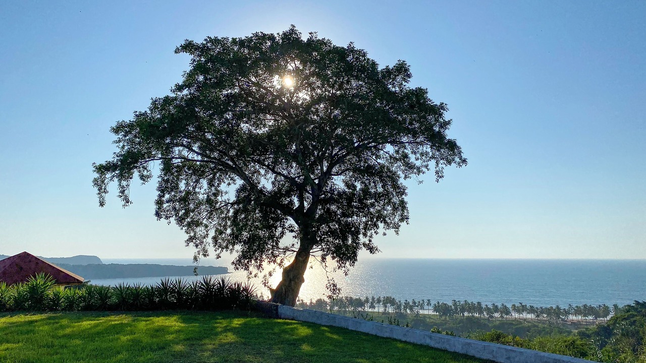 Photo of Others in Santa Cruz
