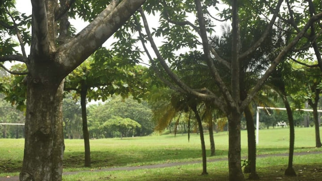 Photo of Outdoor in Santa Catarina Barahona