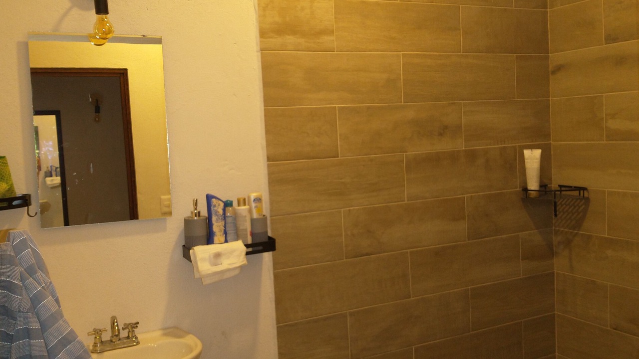 Photo of Bathroom in Colima