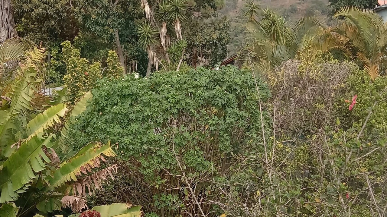 Photo of Others in Santiago Atitlan