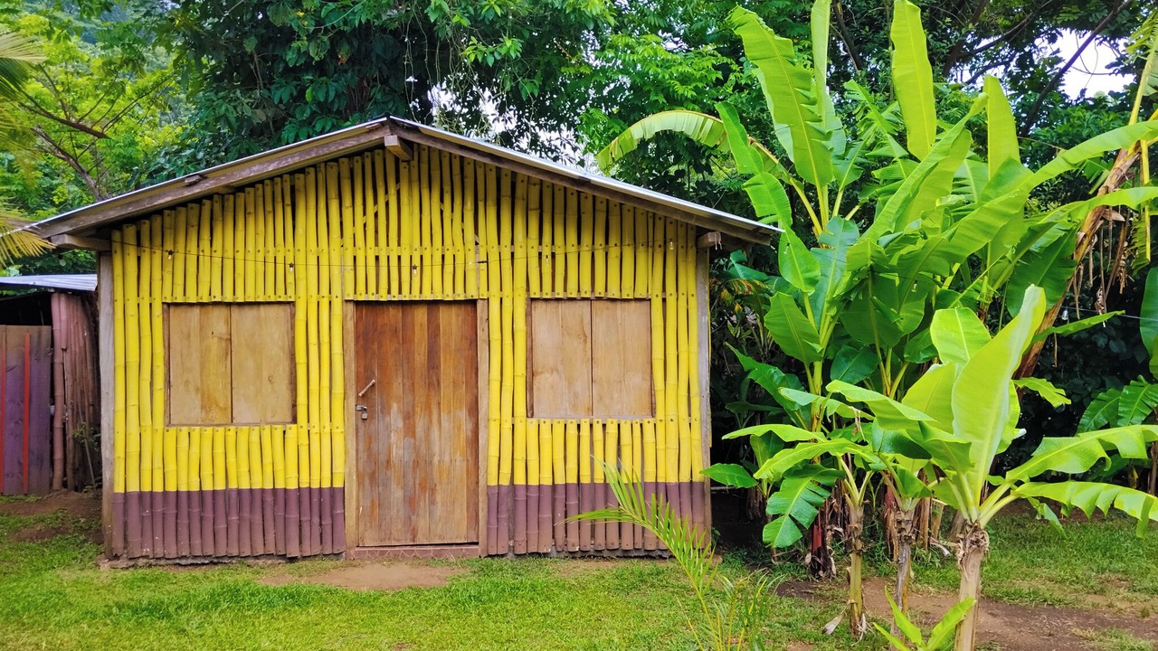 Photo of Outdoor in Catemaco
