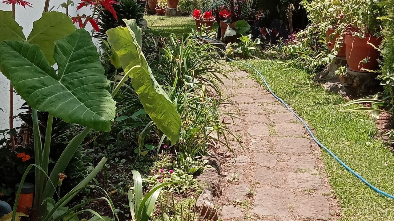 Photo of Outdoor in Santiago Atitlan