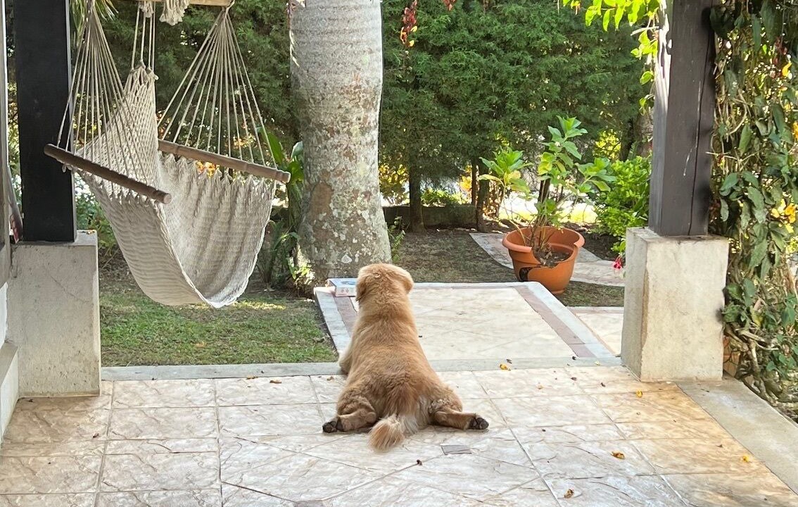 Photo of Outdoor in Villa Canales