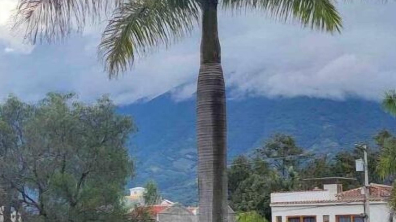 Photo of Outdoor in Alotenango
