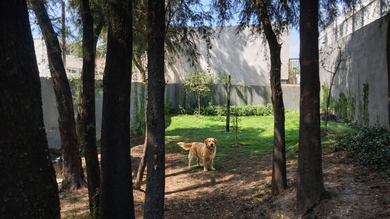 Photo of Outdoor in Zapopan
