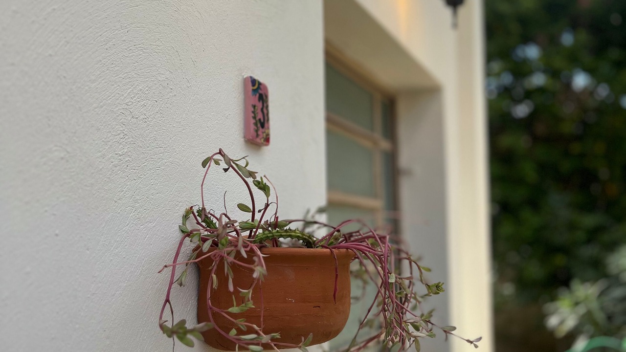 Photo of Outdoor in Centro