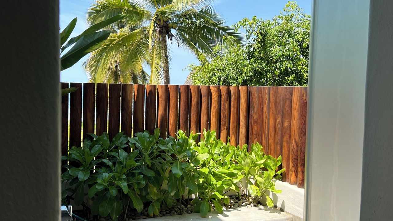 Photo of Outdoor in Saladita