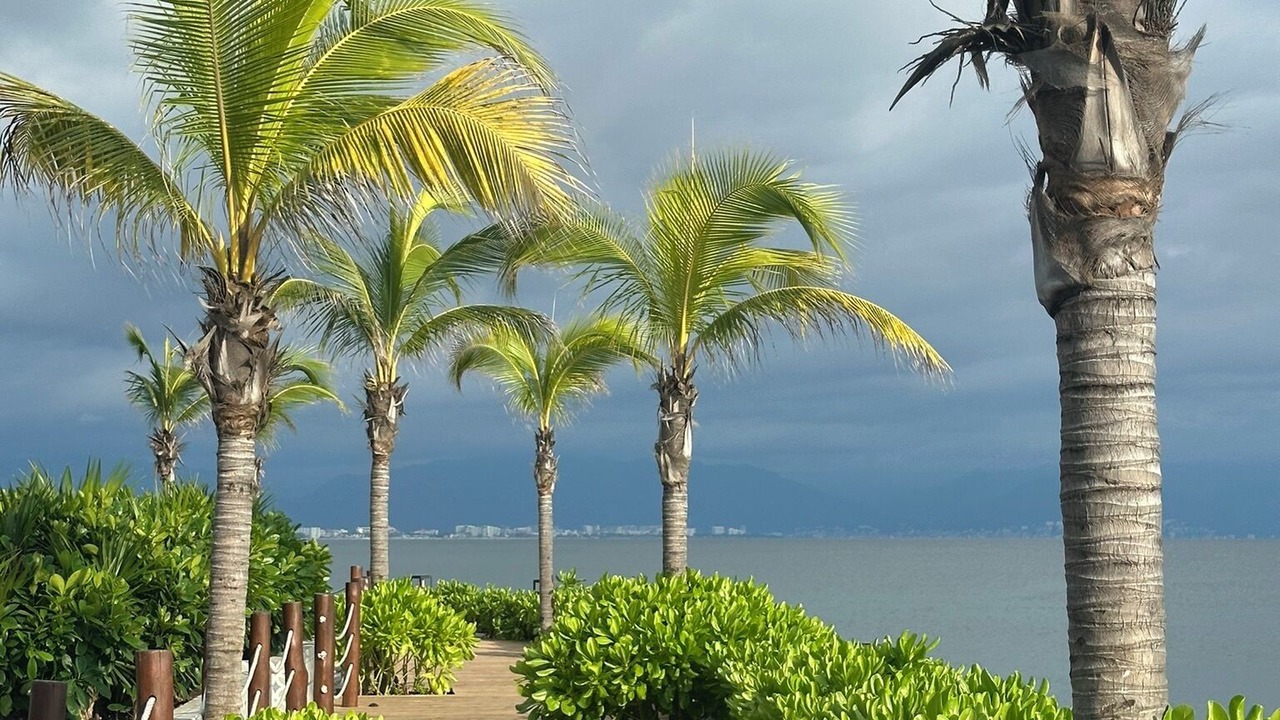 Photo of Outdoor in Puerto Vallarta