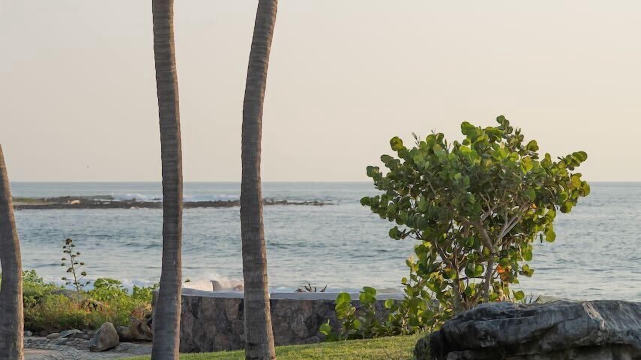 Photo of Others in Troncones