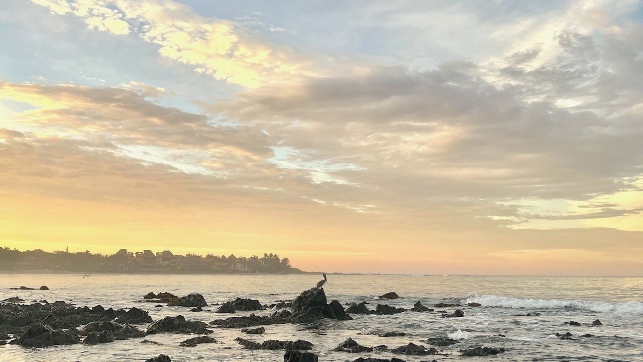 Photo of Others in Troncones