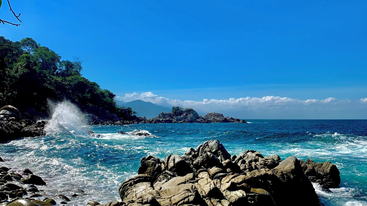 Photo of Others in Boca de Tomatlan