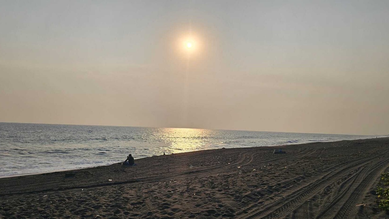 Photo of Others in Monterrico
