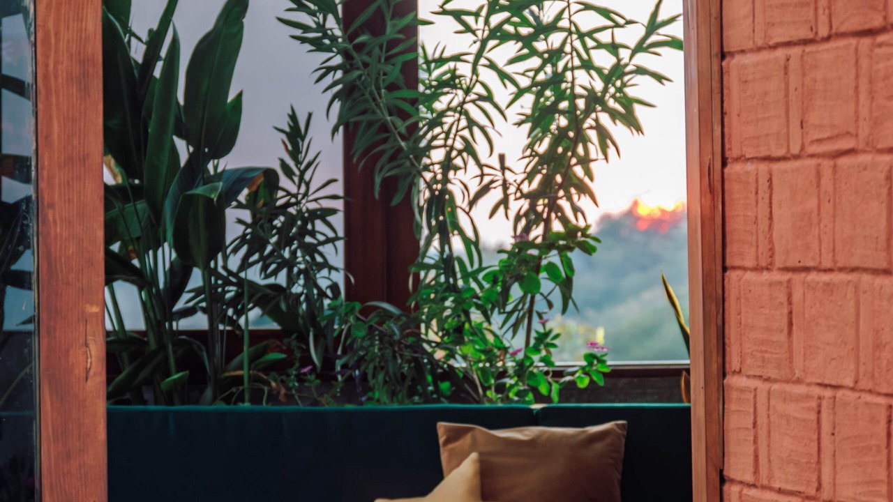 Photo of Bedroom in Puerto Angel