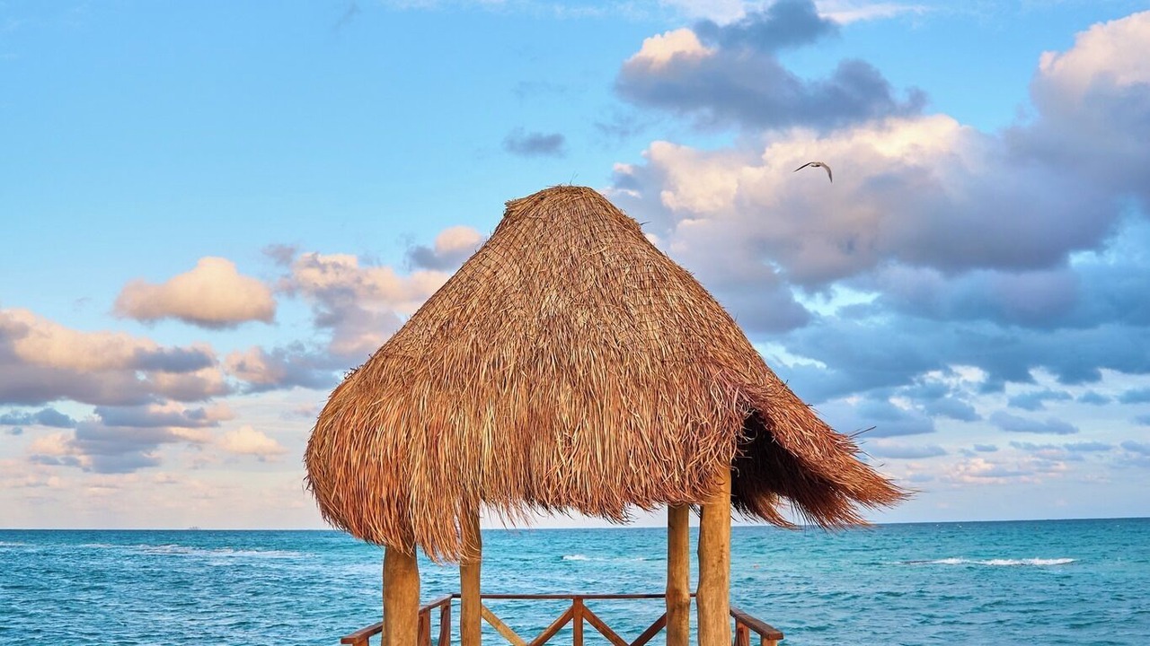 Photo of Others in Nuevo Vallarta