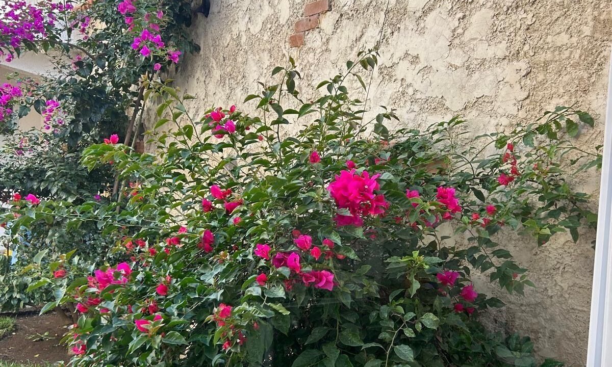 Photo of Outdoor in Antigua Guatemala