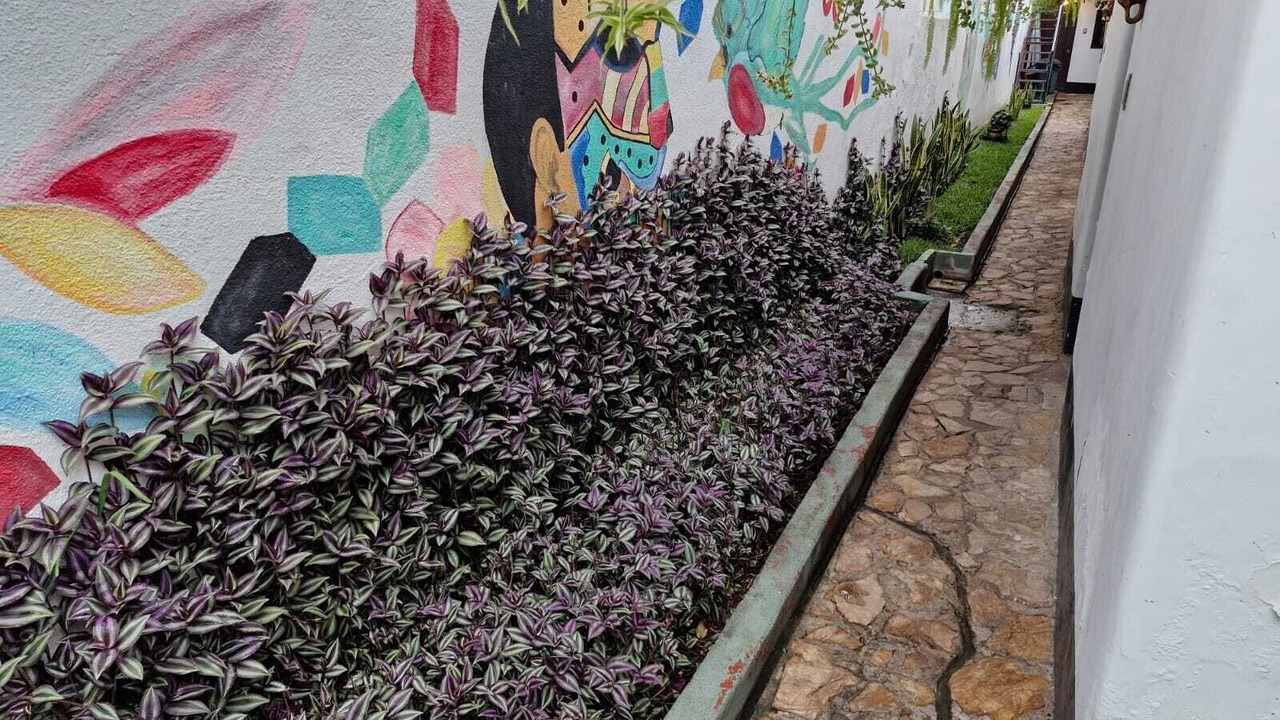 Photo of Outdoor in Antigua Guatemala