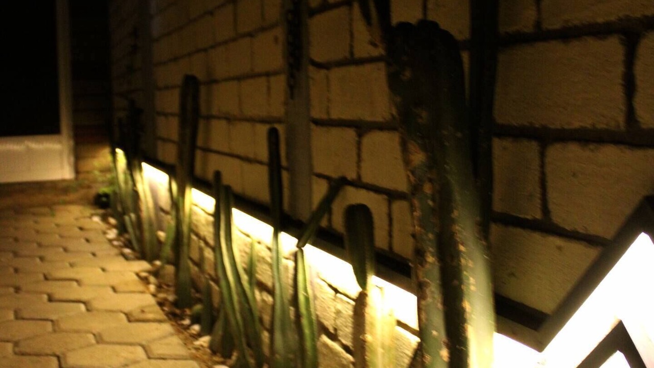 Photo of Outdoor in Oaxaca