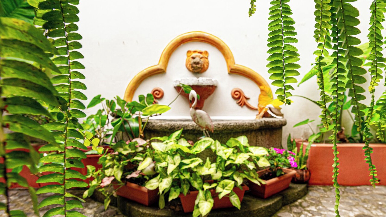 Photo of Outdoor in Antigua Guatemala
