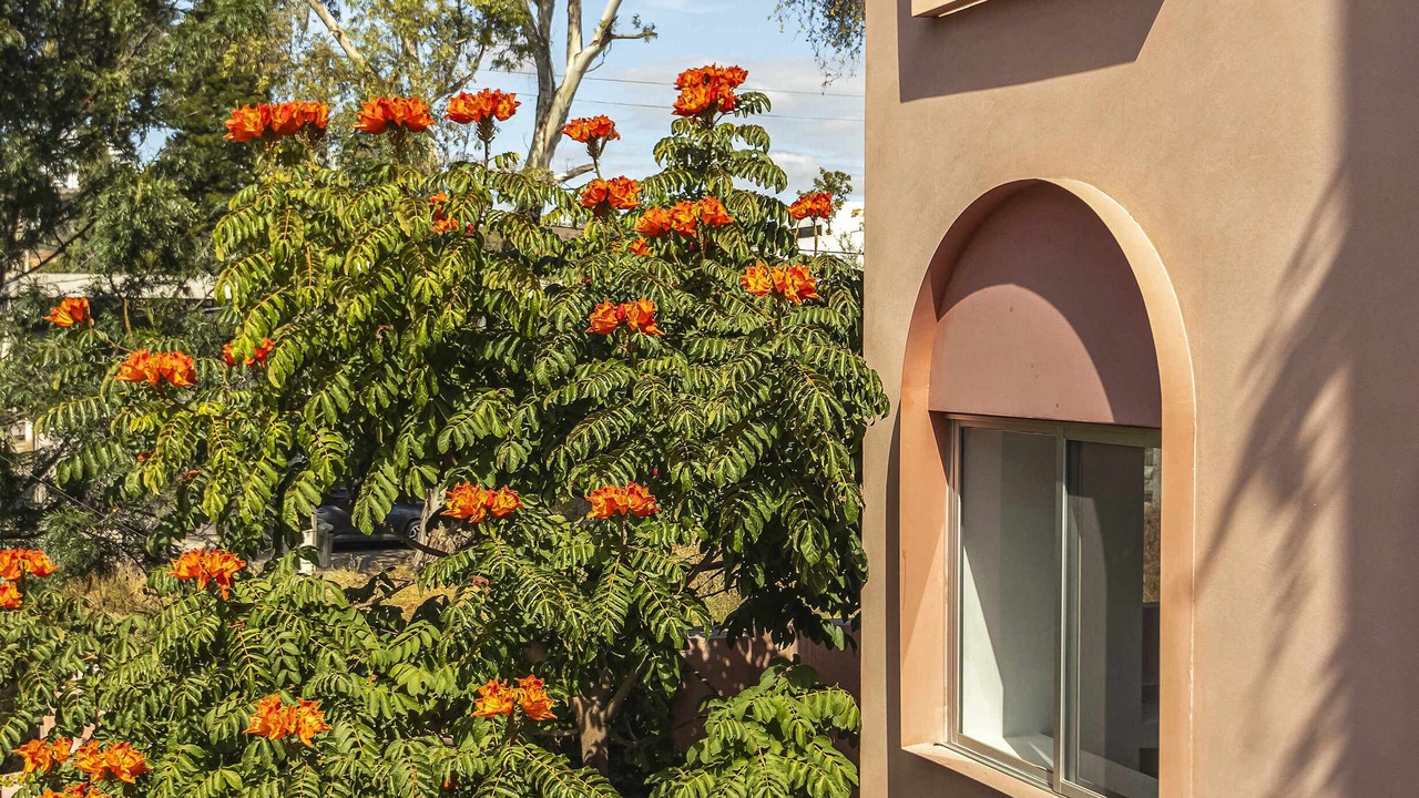 Photo of Outdoor in Downtown Queretaro
