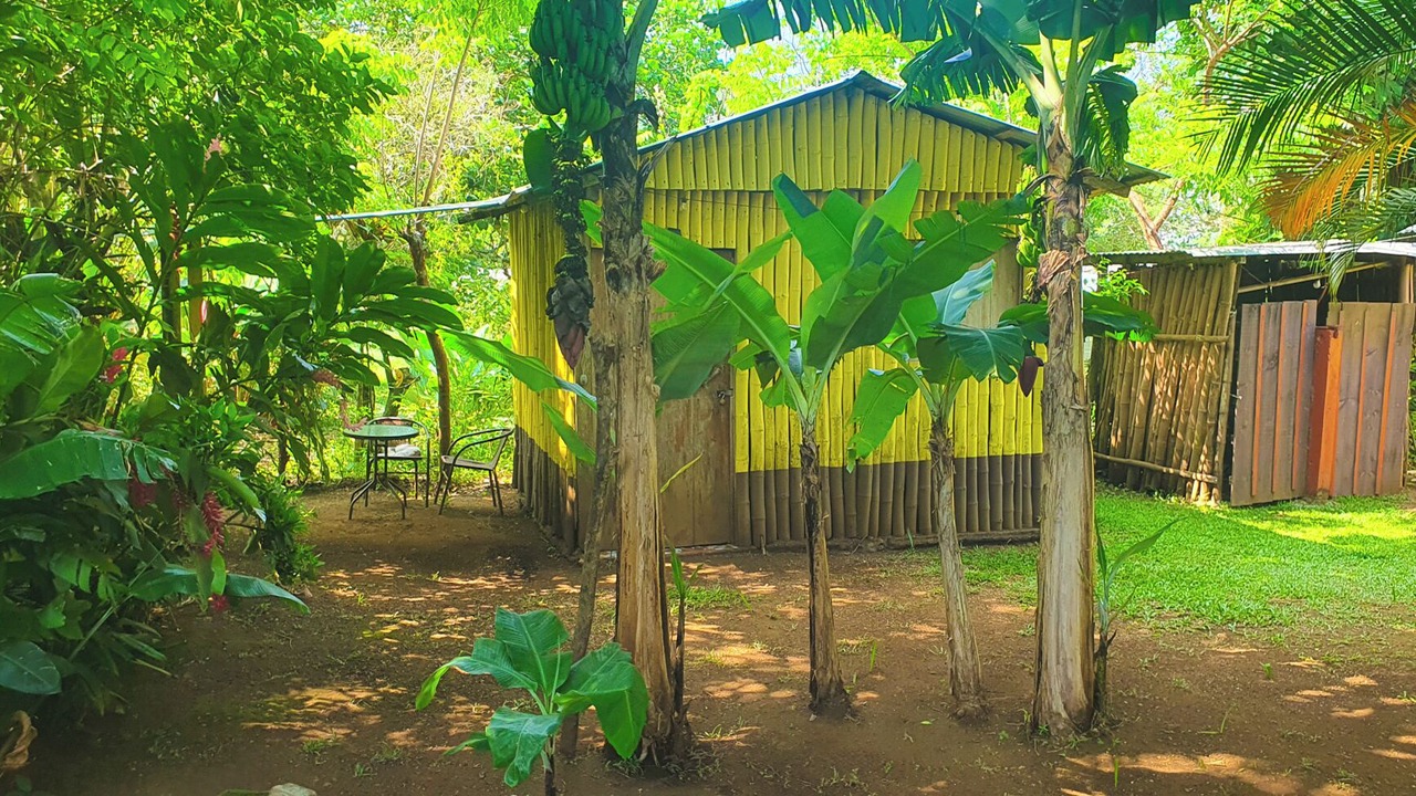 Photo of Outdoor in Catemaco
