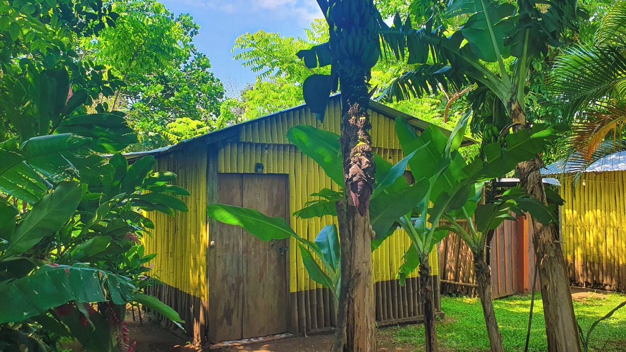 Photo of Outdoor in Catemaco