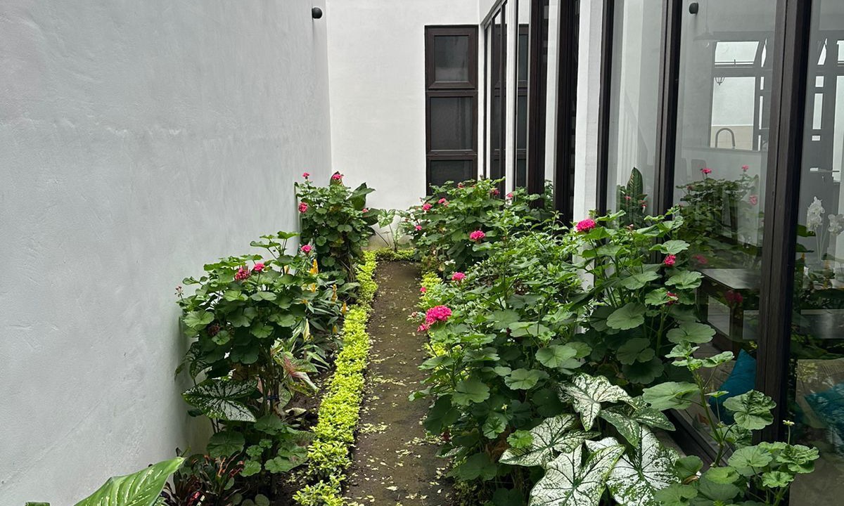 Photo of Outdoor in Jocotenango