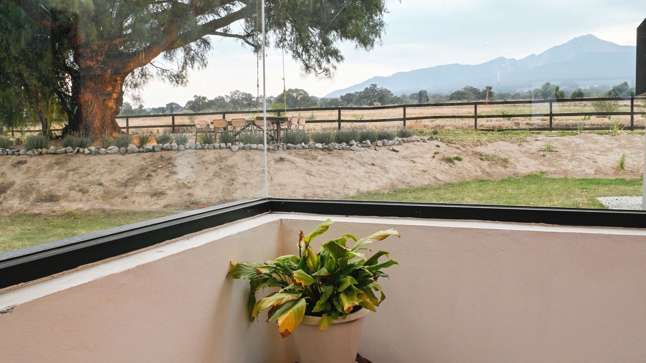 Photo of Others in Huamantla
