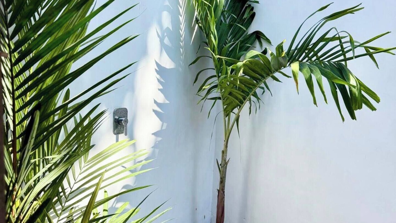 Photo of Outdoor in El Paredon