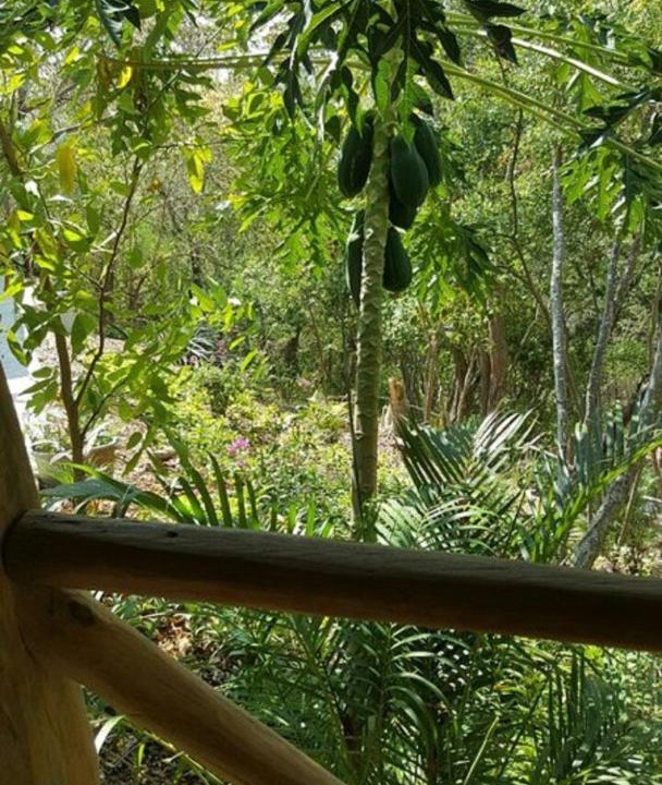 Photo of Others in Mazunte