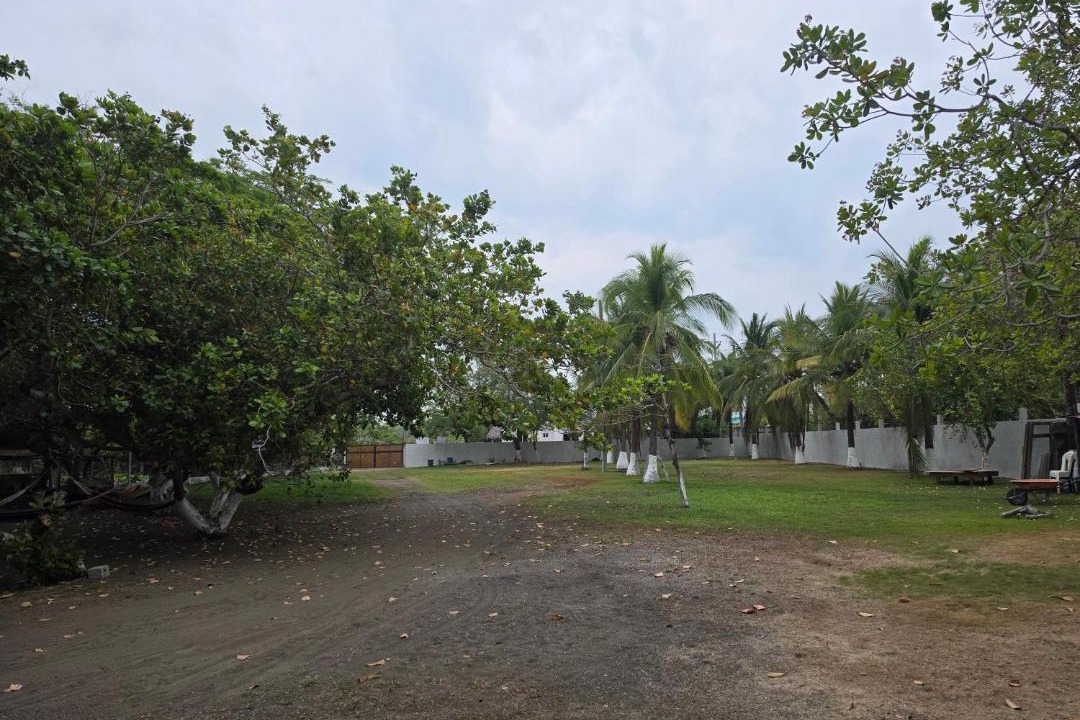 Photo of Others in Monterrico