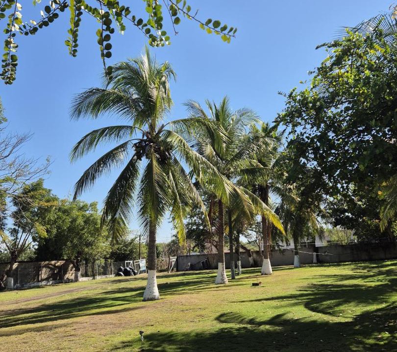 Photo of Others in Monterrico