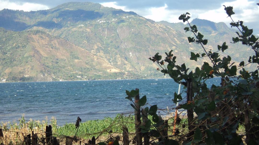 Photo of Others in San Pedro La Laguna