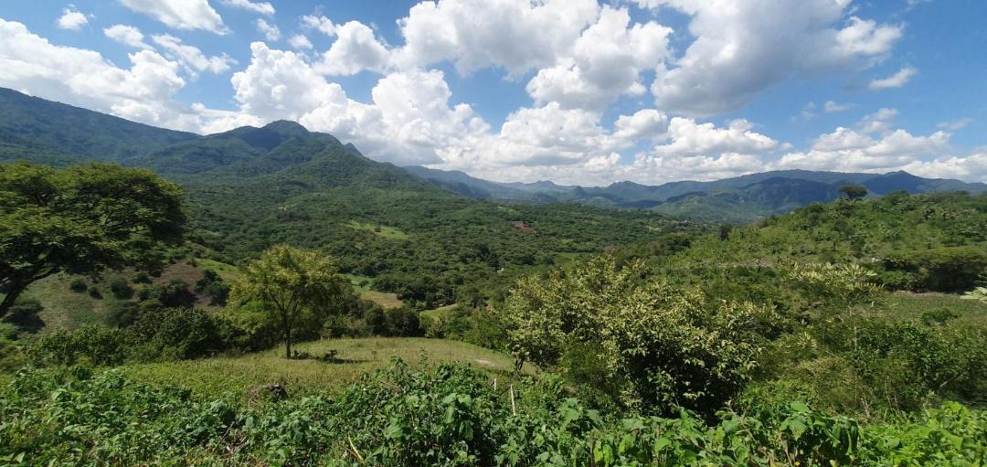 Photo of Others in Malinalco